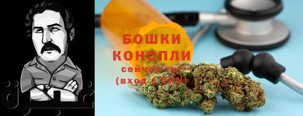 apvp Арсеньев