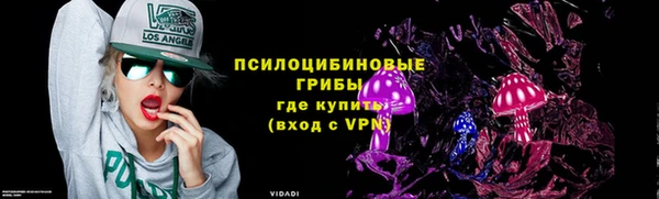 a pvp Алзамай
