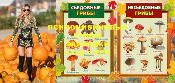 a pvp Алзамай