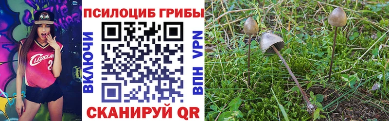 Галлюциногенные грибы MAGIC MUSHROOMS  наркотики  Кувшиново 
